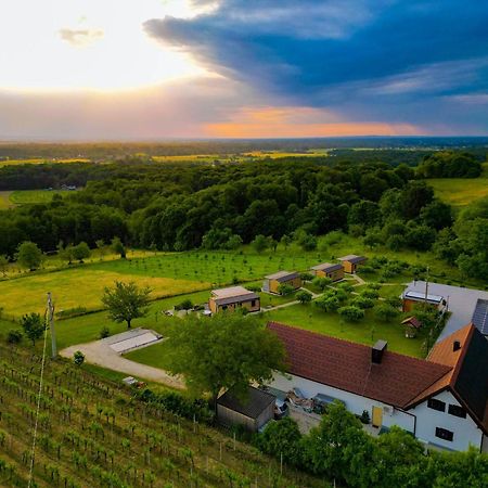 Vinea Panonika Wine & Mind Retreat Villa Radenci Dış mekan fotoğraf