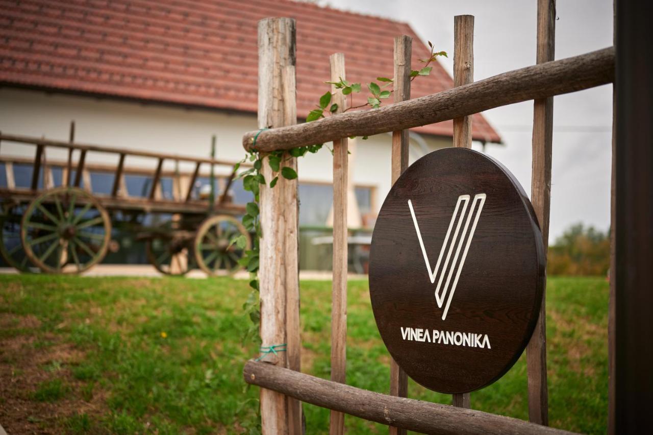 Vinea Panonika Wine & Mind Retreat Villa Radenci Dış mekan fotoğraf