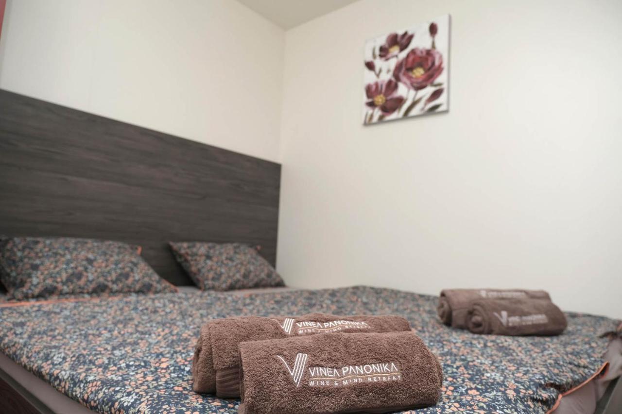 Vinea Panonika Wine & Mind Retreat Villa Radenci Dış mekan fotoğraf