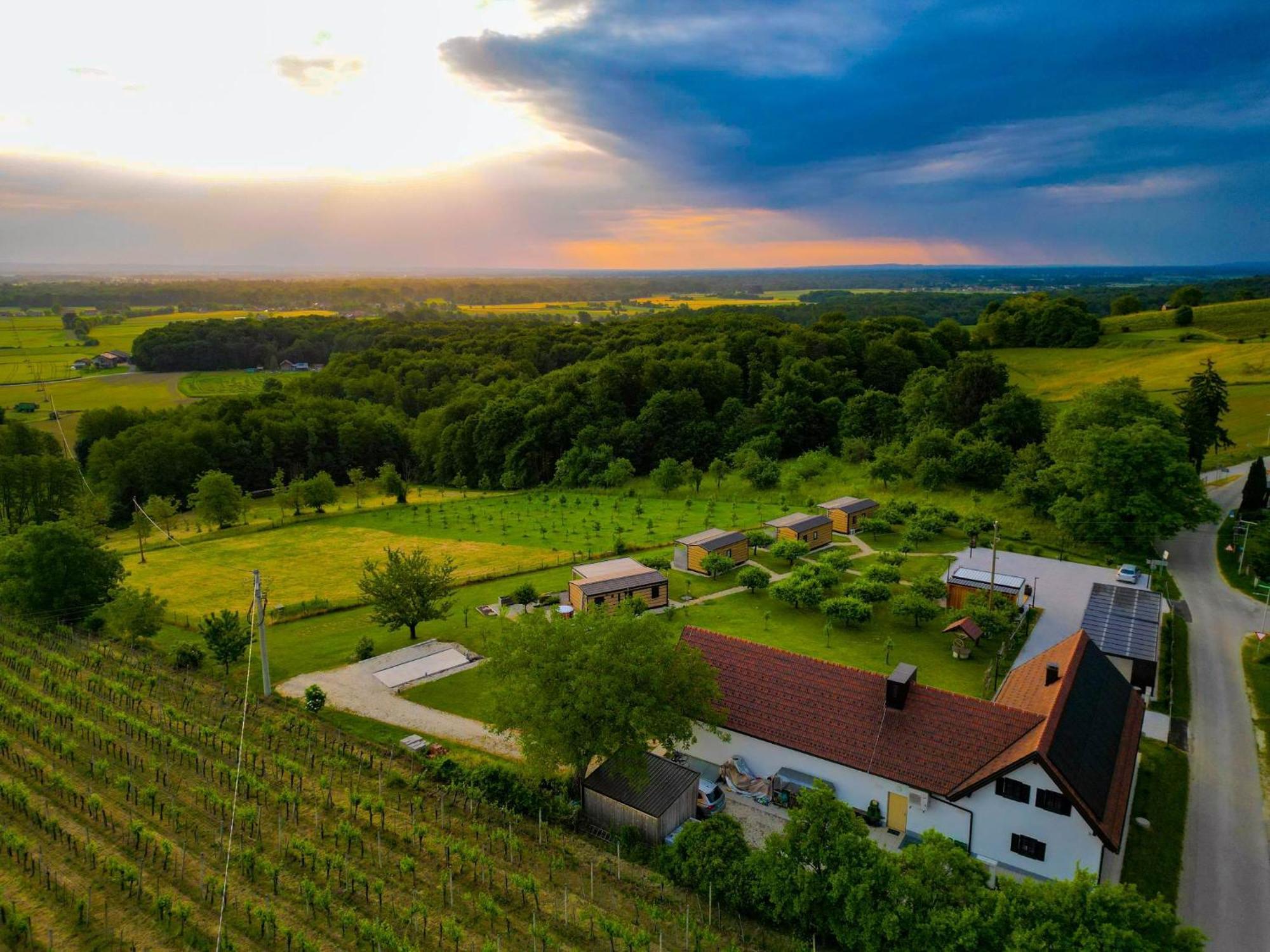 Vinea Panonika Wine & Mind Retreat Villa Radenci Dış mekan fotoğraf