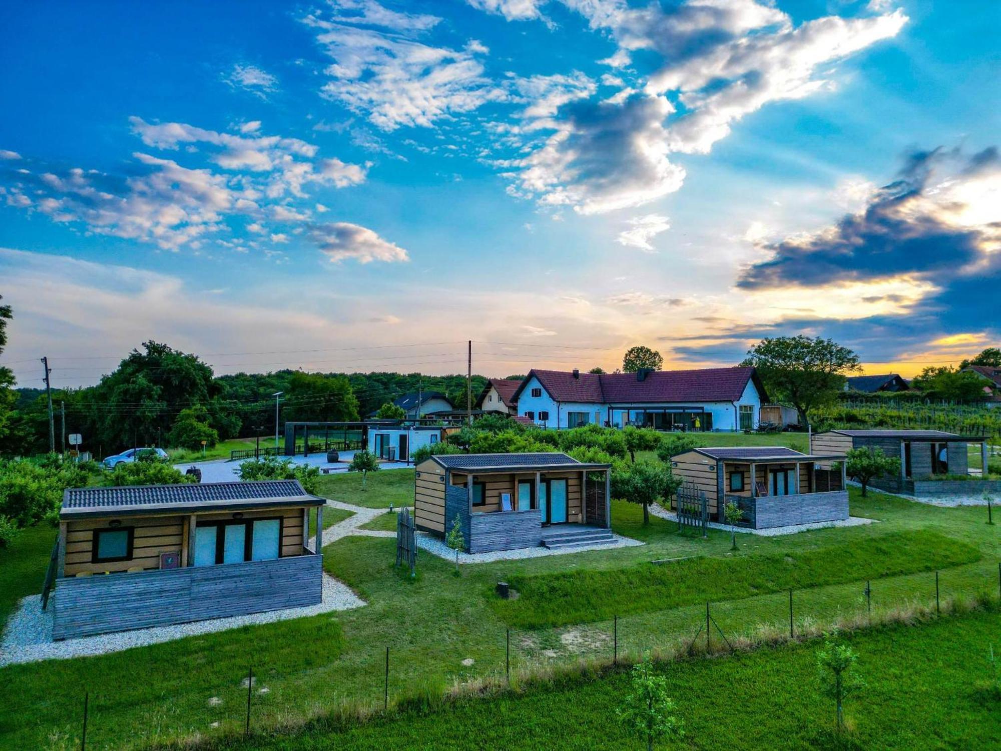Vinea Panonika Wine & Mind Retreat Villa Radenci Dış mekan fotoğraf